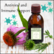 Herbal medicine to support the immune system