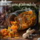 Organic Marigold Loose Tea