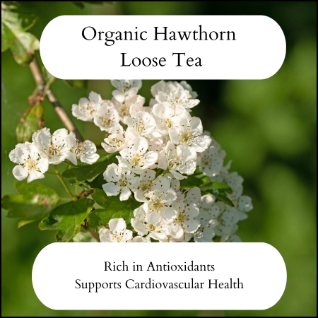 Organic Hawthorn leaves and flowers loose tea for heart health UK