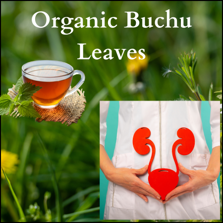 Organic buchu leaves