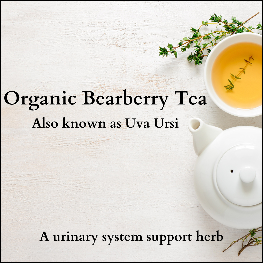 Input Tea Organic Uva Ursi Tea - Holly Healthcare