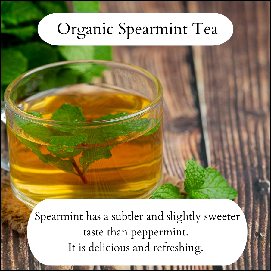 Input Tea Organic Spearmint Leaf Tea - Holly Healthcare