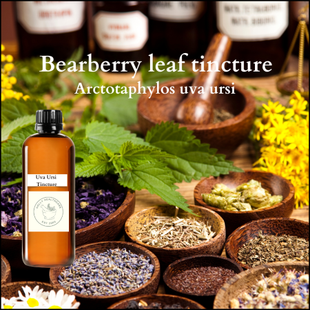 bearberry leaf tincture, uva ursi tincture