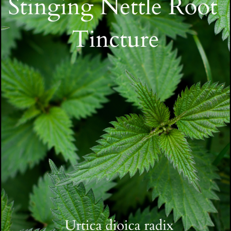 Stinging nettle root tincture for urinary problems, prostate health etc.