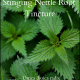 Stinging nettle root tincture for urinary problems, prostate health etc.
