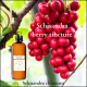 Schisandra tincture, aka wu wei zi, excellent adaptogen