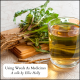 Medical herbalist Ellie Holly's talk on herbal medicine, the value of weeds