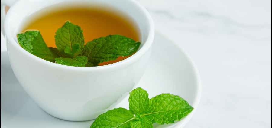 Shop here for teas and Tinctures to support digestive health